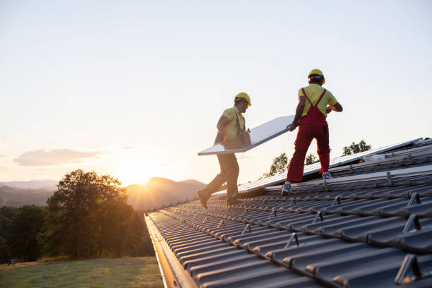 Best Roof Insulation Installation  in Alamo, GA