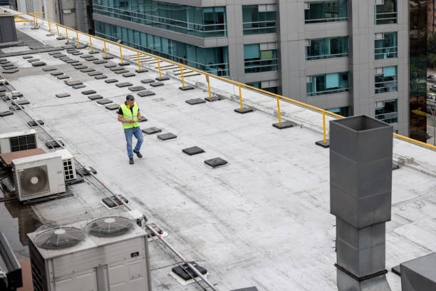 Best Cold Roofs  in Alamo, GA