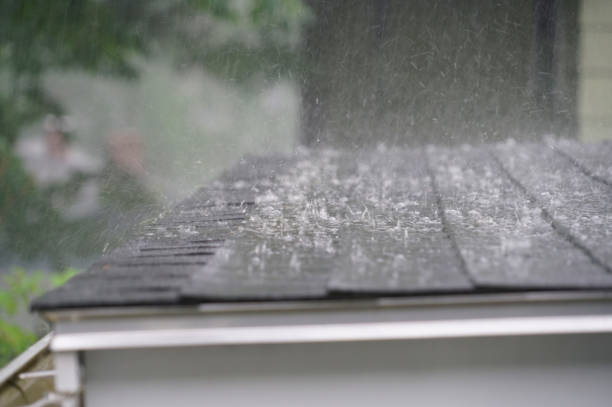 Best Asphalt Shingle Roofing  in Alamo, GA